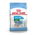Royal Canin Vet Mini Starter Mother and Babydog 3 kg - Destockage