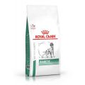 Royal Canin Vet Chien Diabetic 1.5 kg