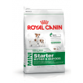 Royal Canin Mini Starter Mother and Babydog 8.5 kg