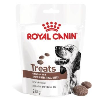 Royal Canin Vet Chien Gastrointestinal Treats 230 g