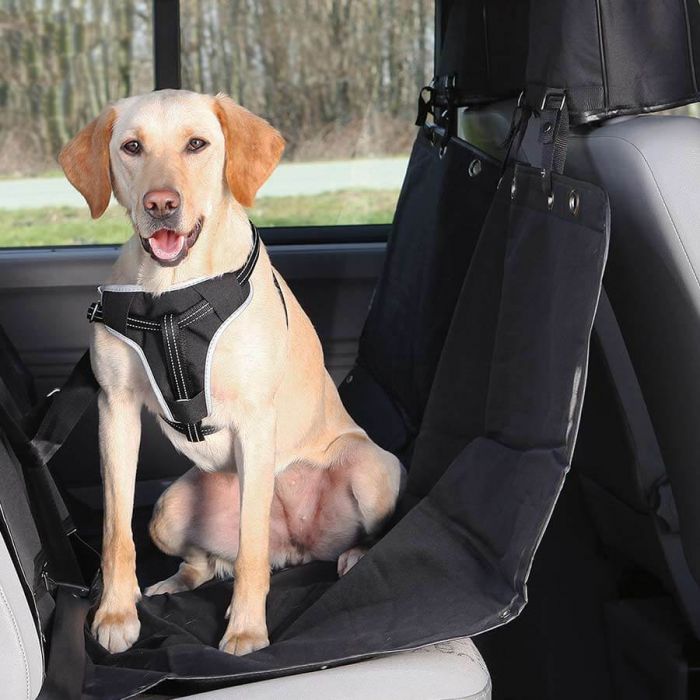 Housse de protection de voiture pour chien - NOS 4 PATTES – Nos 4