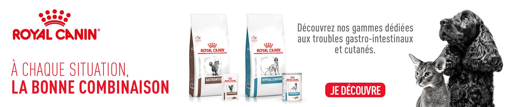 Découvrez les gammes Royal Canin dédiées aux troubles gastro-intestinaux et cutanés.