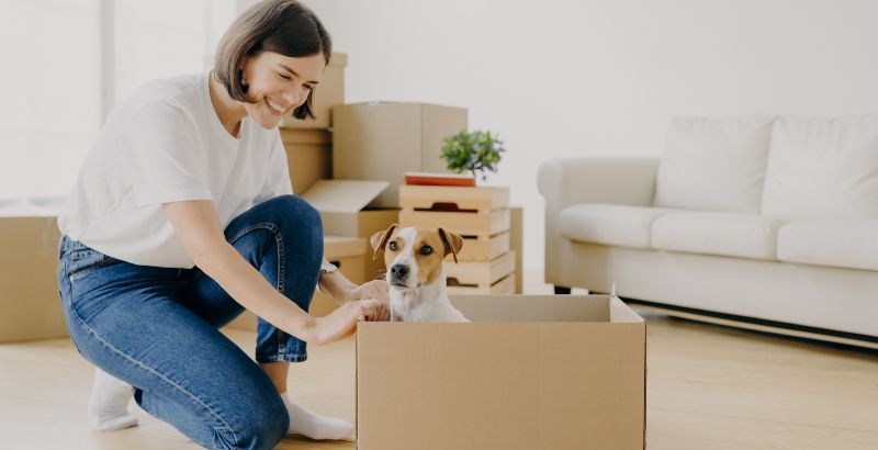 Déménagement et chien stressé : Comment déménager avec son chien ?