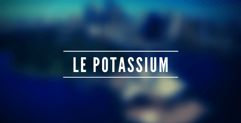 Les nutriments - Le Potassium