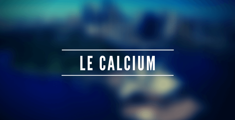 Les nutriments - Le Calcium