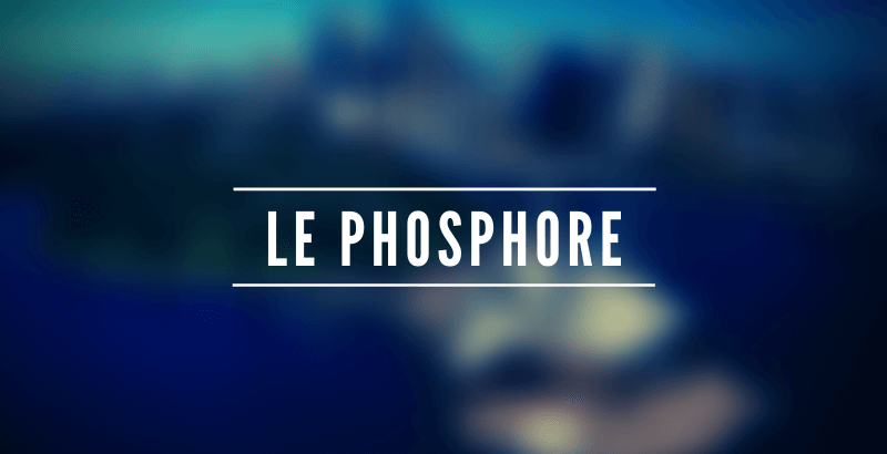 Les nutriments - Le Phosphore
