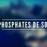 Les nutriments - Les Phosphates de Sodium