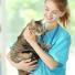 Stérilisation du chat : Pourquoi et comment faire stériliser son chat ?