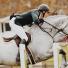 Le confort respiratoire des chevaux avec Phyto Respir