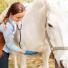 Le soutien musculaire du cheval : VITAMINE ESL de Paardendrogist 
