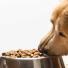 On a testé : les croquettes Dogteur Premium "Low Grain" pour chiens peu actifs