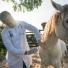 La vaccination des chevaux