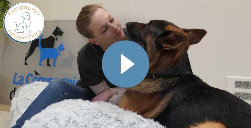 Parlons peu parlons chien : Les activités masticatoires [VIDEO]