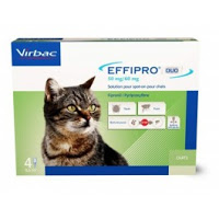 Effipro Duo Chat 1-6 kg 4 pipettes