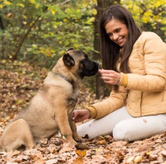 Comment prendre soin de son chien aveugle et faciliter son quotidien ?