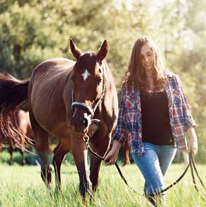 Quels sont les dangers du pâturage pour les chevaux ?