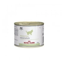 ROYAL CANIN VET CARE NUTRITION CAT PEDIATRIC