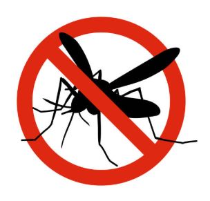 Comment luttez contre les moustiques ?