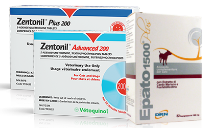 On vous aide à choisir : Zentonil ou Epato ?