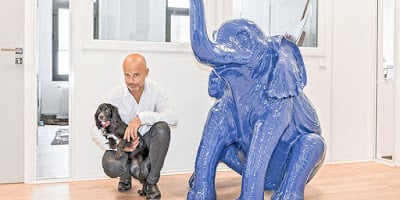 Quelle est l'histoire de Dogteur ?