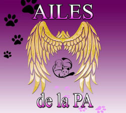 Logo AILES DE LA PA