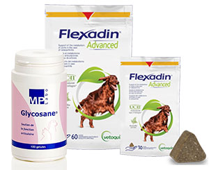 On vous aide à choisir : Flexadin Advanced ou Glycosane ?