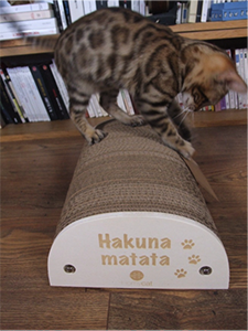 On a testé : Le griffoir Hakunamatata Homycat