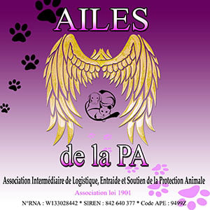 Les AILES de la PA