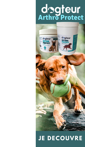 Découvrez nos produits Dogteur Arthro Protect pour chien