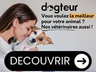 Dogteur