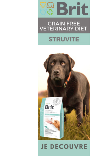 Découvrez la gamme d'alimentation Brit Vet Struvite pour chien