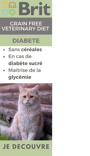 Découvrez la gamme d'alimentation Brit Vet Diabete pour chat et chien