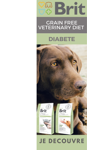 Découvrez la gamme d'alimentation Brit Vet Diabete pour chat et chien