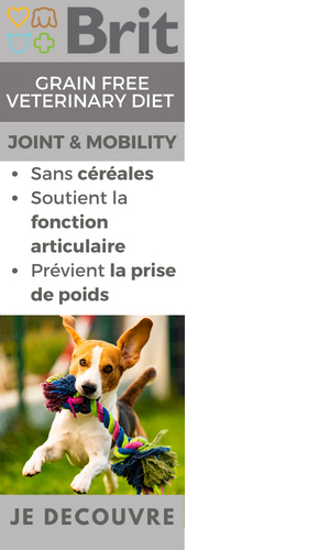 Découvrez la gamme d'alimentation Brit Vet Joint & Mobility pour chien