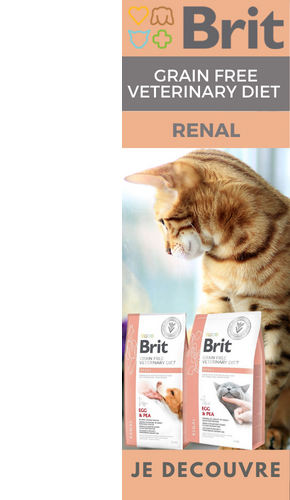 Découvrez la gamme d'alimentation Brit Vet Renal pour chat et chien