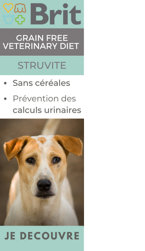 Découvrez la gamme d'alimentation Brit Vet Struvite pour chien