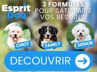 Formations Esprit Dog