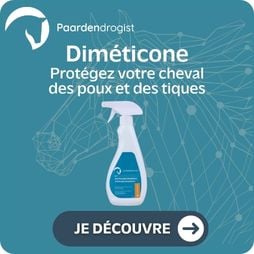 Paardendrogist Dim&eacute;ticone