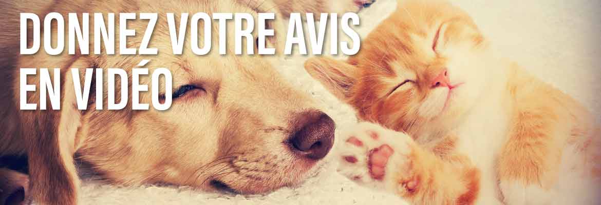 Donnez votre avis en vid&eacute;o