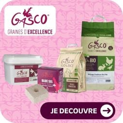 gasco