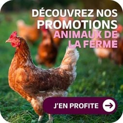 promos Animaux de la ferme