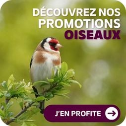 promo oiseaux