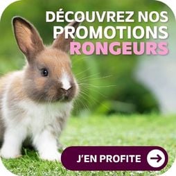 Nos promotions sp&eacute;ciales rongeurs