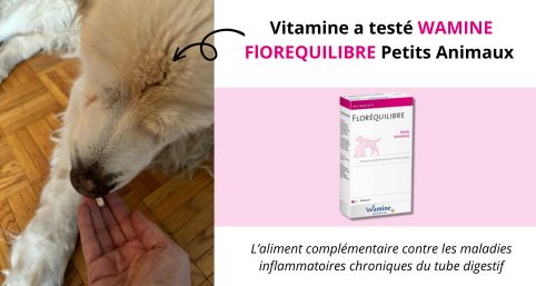 Vitamine test Wamine Floréquilibre Petits animaux