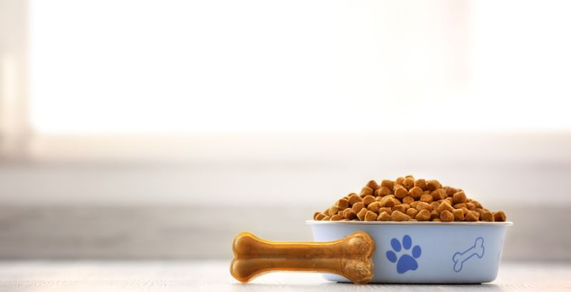 La ration peut contenir des protéines allergisantes pour votre chien