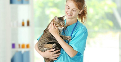 Dossier Spécial - Stérilisation du chat : Pourquoi et comment faire stériliser son chat ?