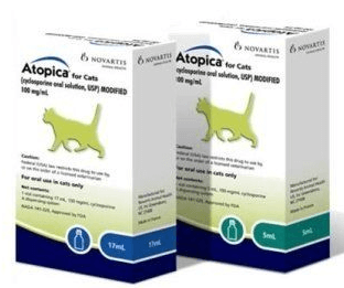 atopica chats 2