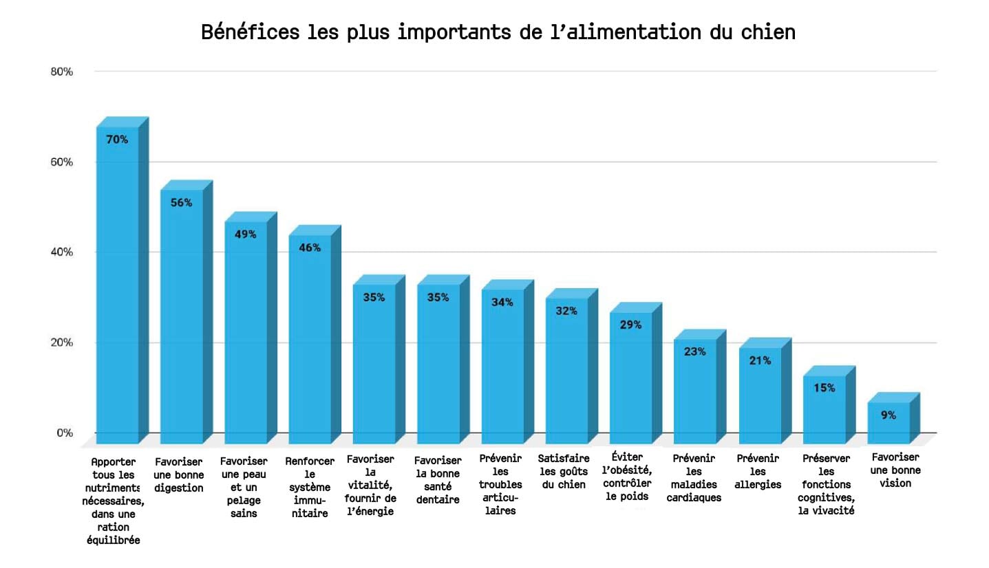 Les préférences alimentaires des propriétaires de chiens en France: un regard sur la nutrition, les sources de protéines et les tendances émergentes