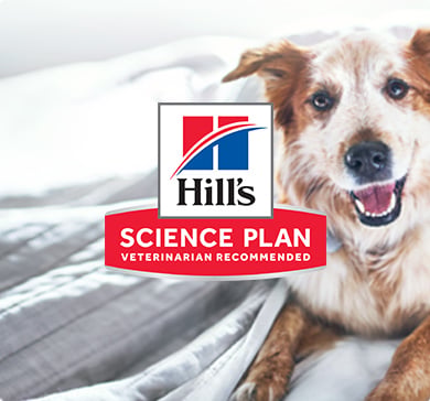 Hill's Science Plan