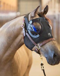 Masque solaire pour cheval